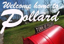 Welcome home to Pollard